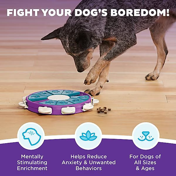 Outward Hound Dog Twister