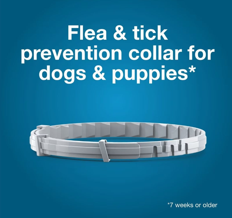 Seresto Flea & Tick Collar - Small Dog
