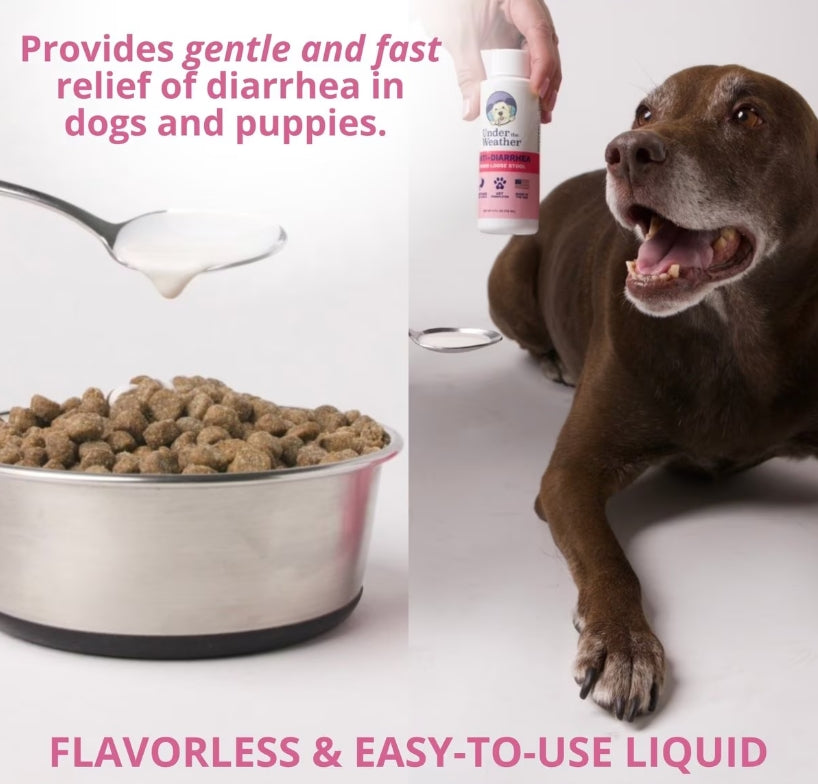 Under The Weather Anti-Diarrhea Liquid for Dogs 4oz