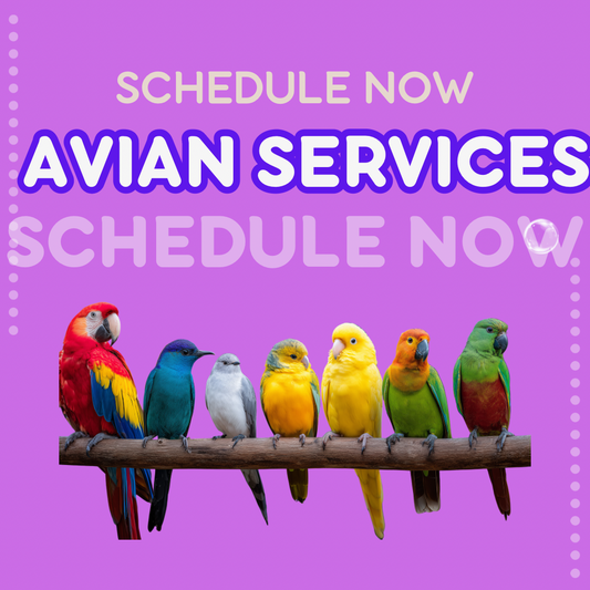 Avian services