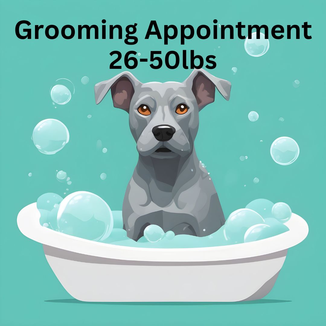 *Grooming Service 26-50lbs