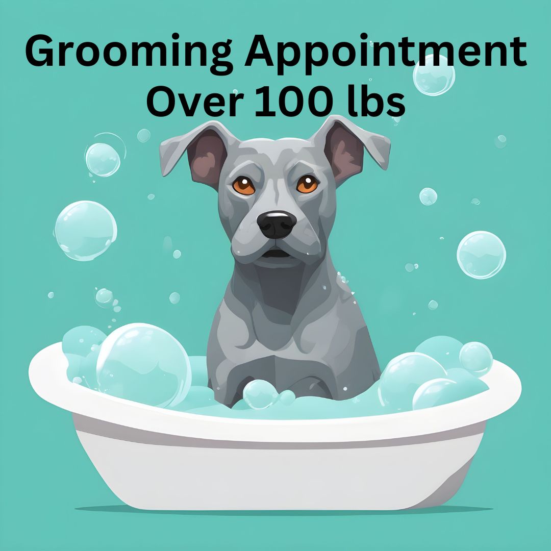 *Grooming Services Over 100lbs