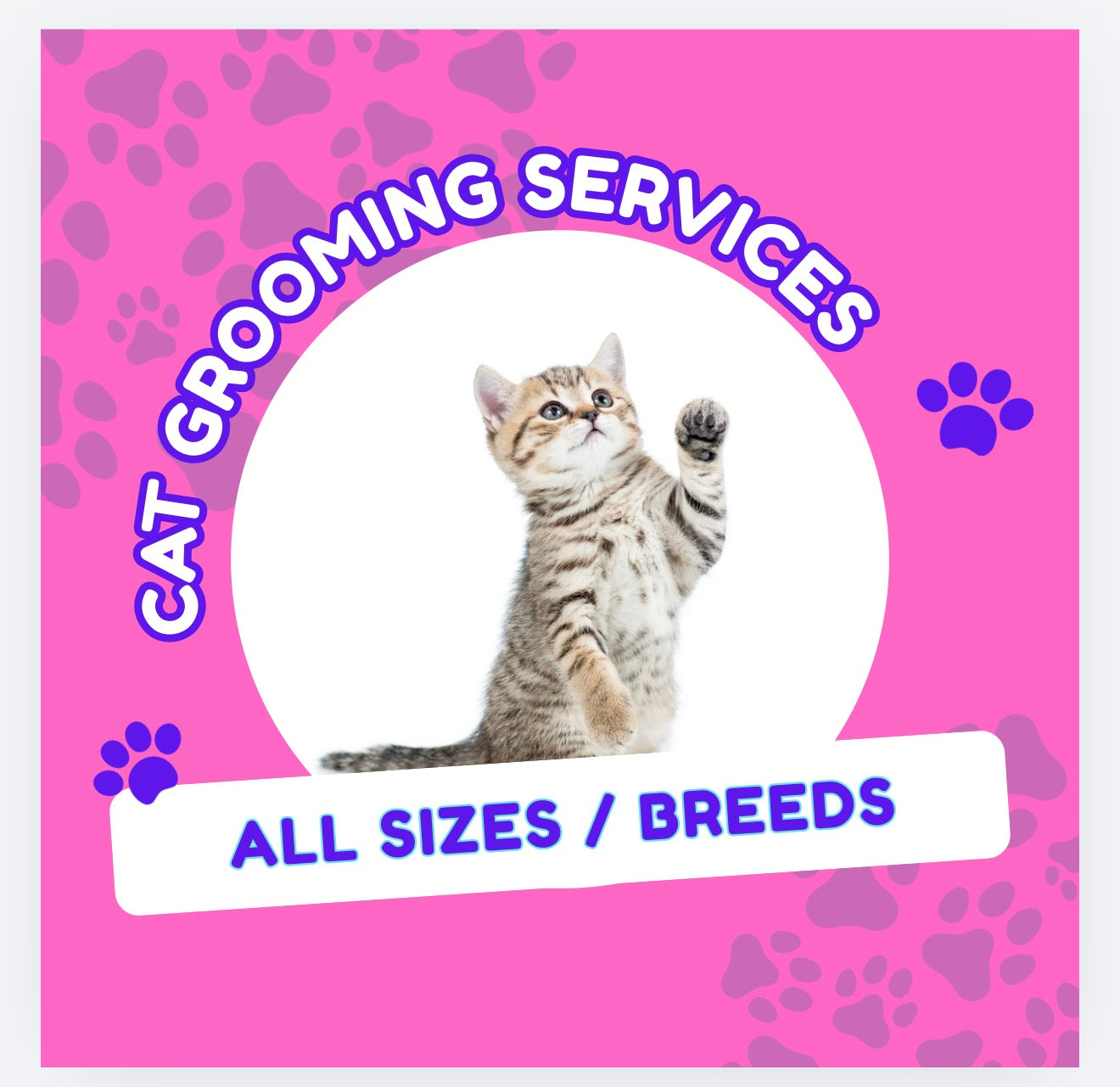 Cat grooming (all sizes and breeds)