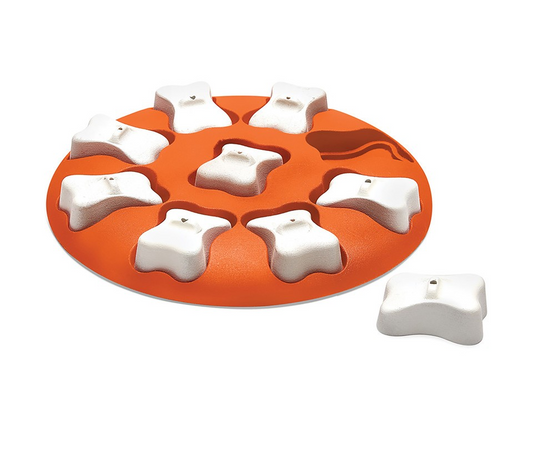 Outward Hound Nina Ottosson Dog Smart - Orange