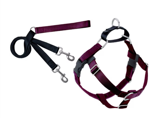 Freedom No-Pull Harness (Sm)