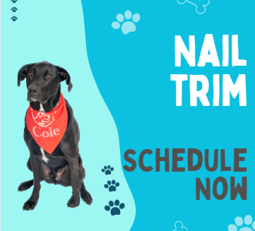 *Nail Trim